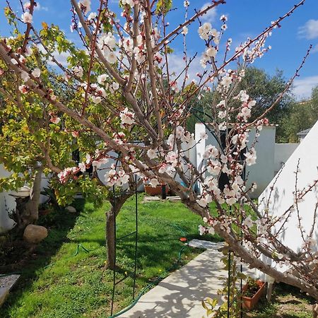 Wonderland Hotel San Teodoro  Bagian luar foto