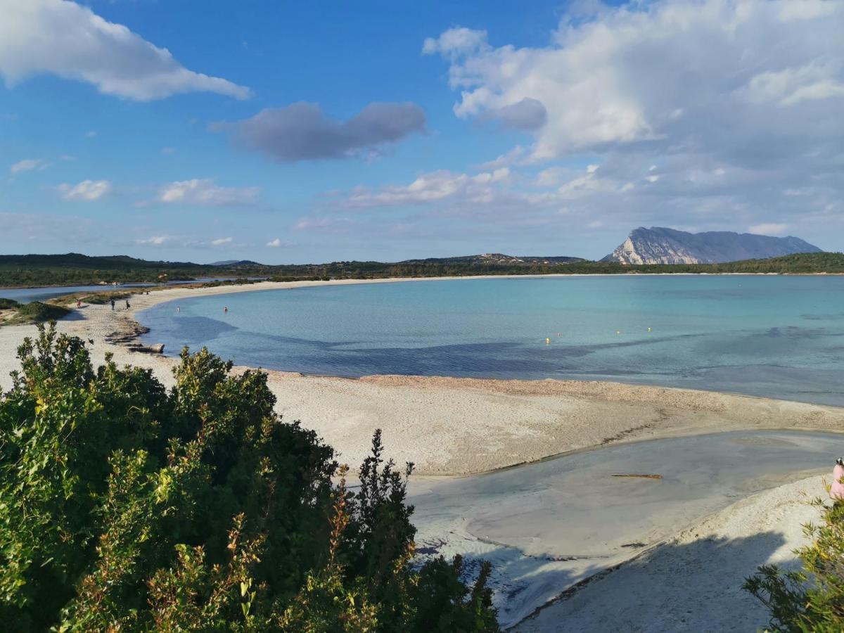Wonderland Hotel San Teodoro  Bagian luar foto