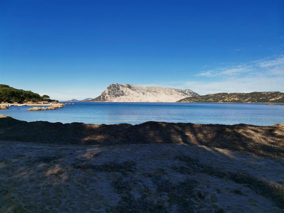 Wonderland Hotel San Teodoro  Bagian luar foto