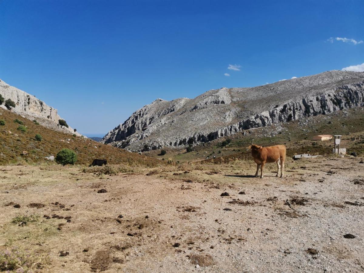 Wonderland Hotel San Teodoro  Bagian luar foto