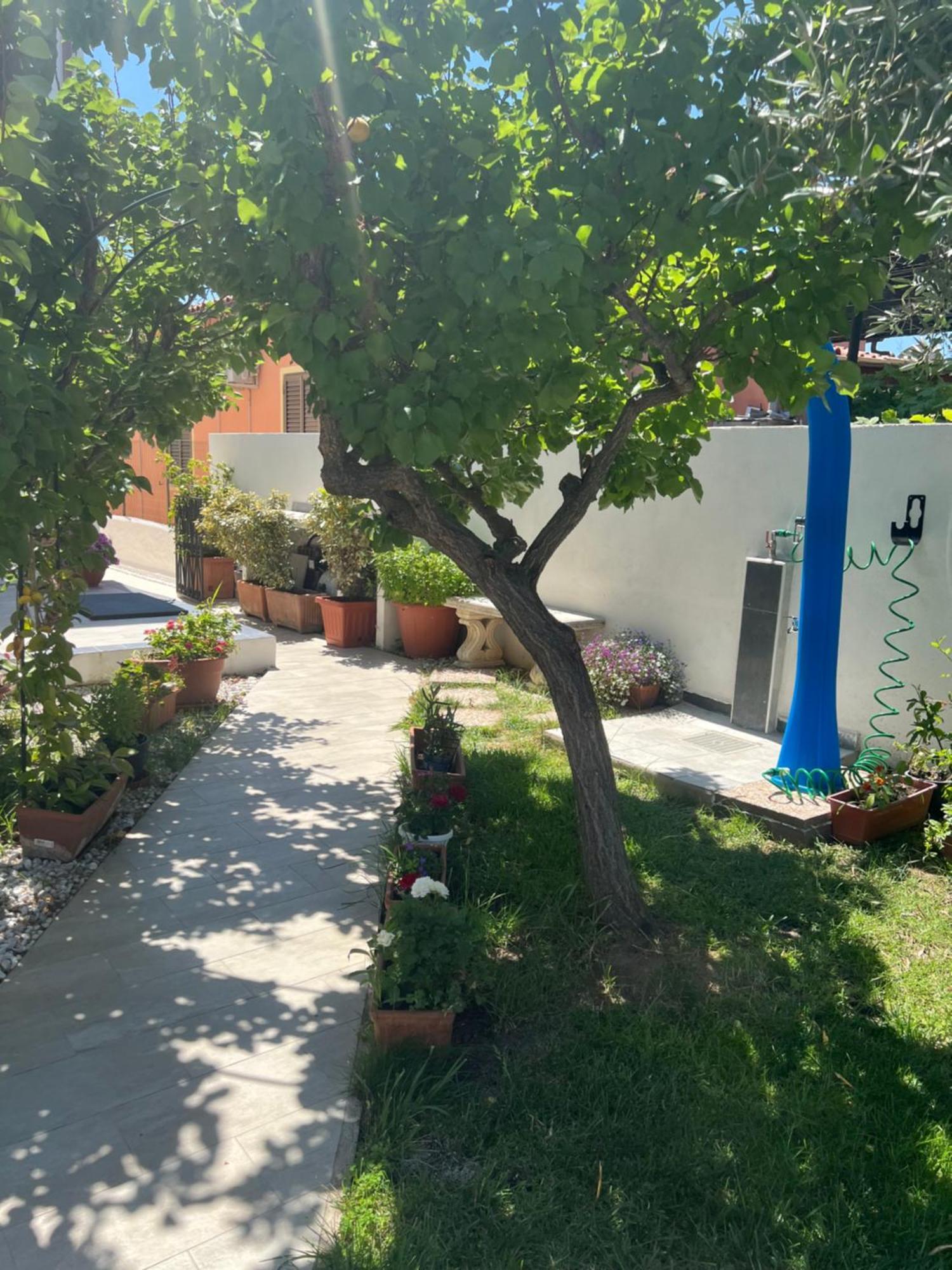 Wonderland Hotel San Teodoro  Bagian luar foto