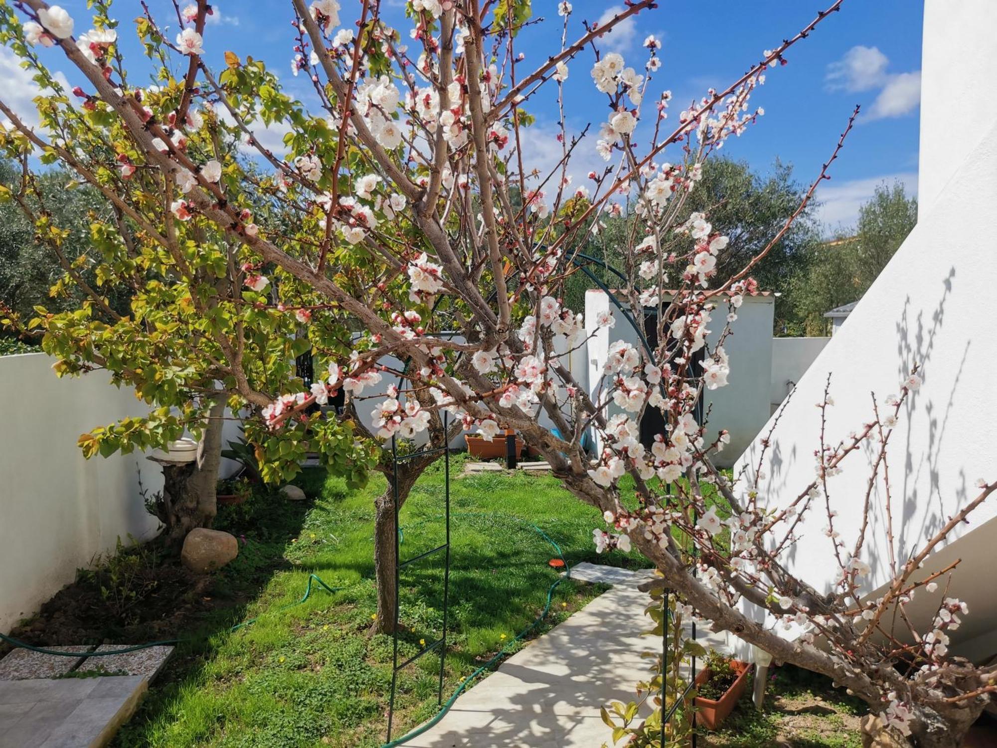 Wonderland Hotel San Teodoro  Bagian luar foto